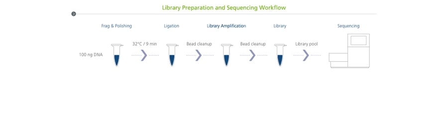 App Note: Rapid Library Preparation for RNA Virus Sequencing