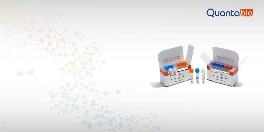 Double Duty: Our Library Prep Kits Streamline QC for PCR-Free Sequencing