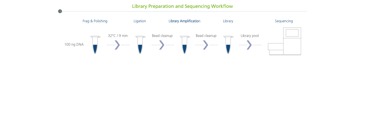 App Note: Rapid Library Preparation for RNA Virus Sequencing
