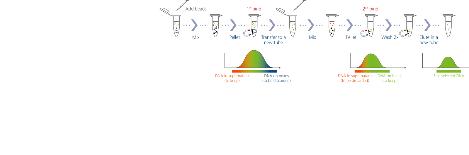 App Notes: Versatility for DNA and RNA Cleanup